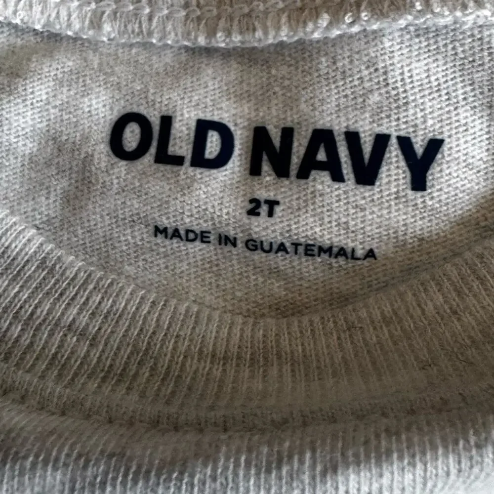 Old Navy Gray Dino Crane Long Sleeve Tee Sz 2T